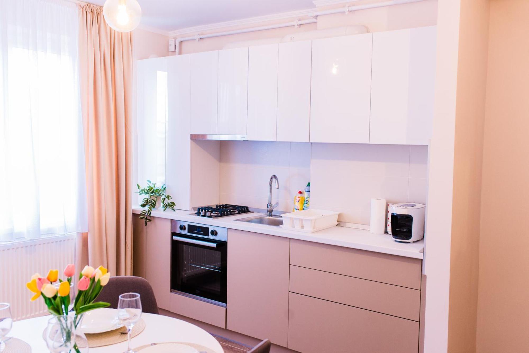 Central White Apartment Satu Mare Exterior photo