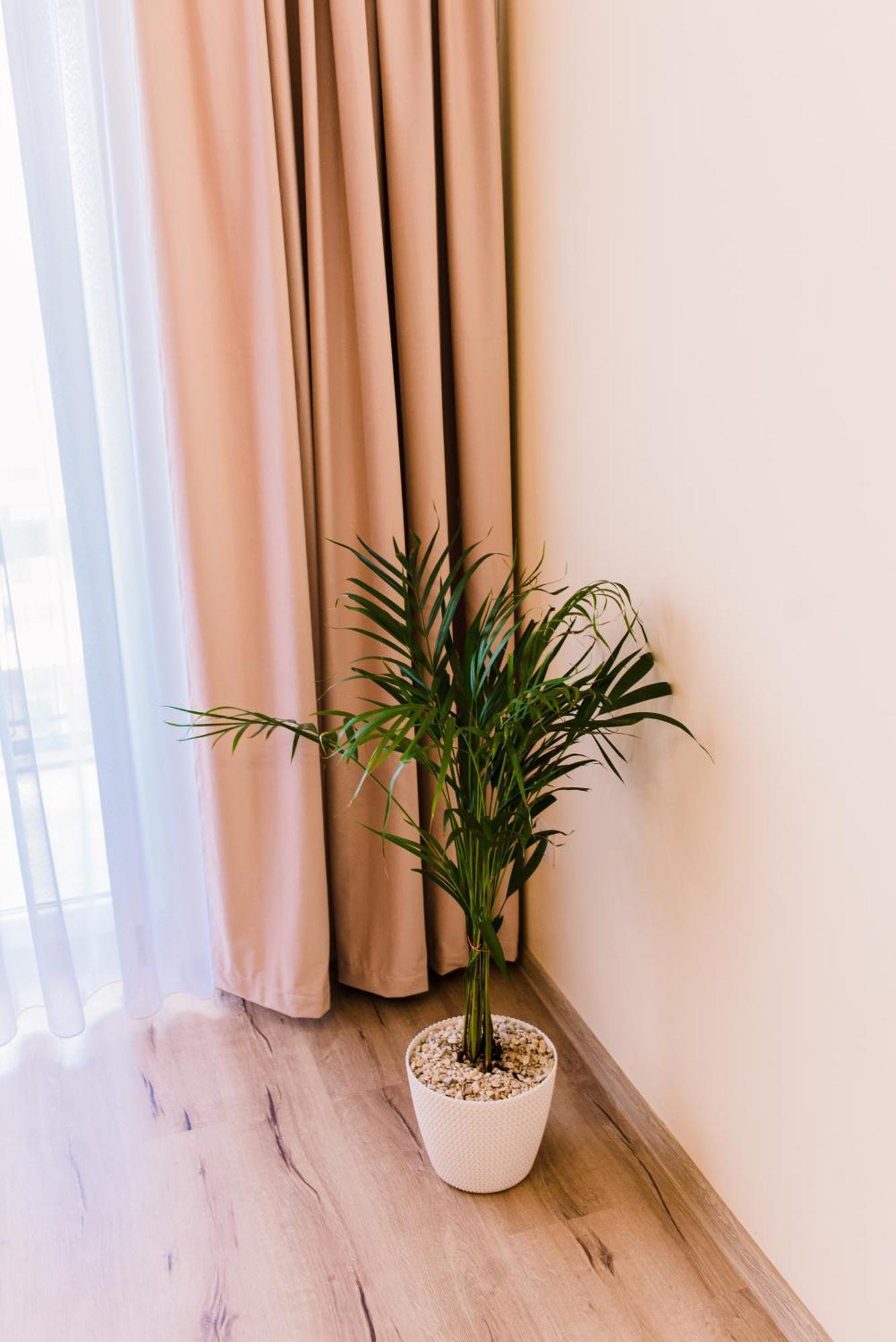 Central White Apartment Satu Mare Exterior photo